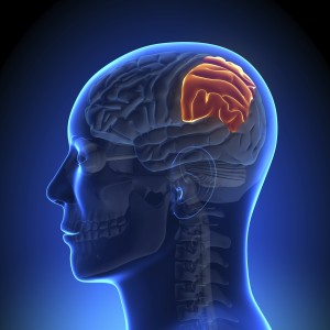 SANFORD A. KASSEL, A Professional Law Corporation. Brain Injury Attorneys. 909.884.6451