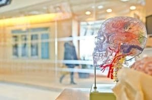 The Devastating Effects of a Brain Injury A Brief Overview