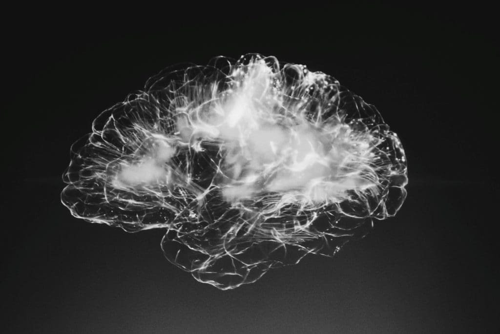 Abstract representation of a brain