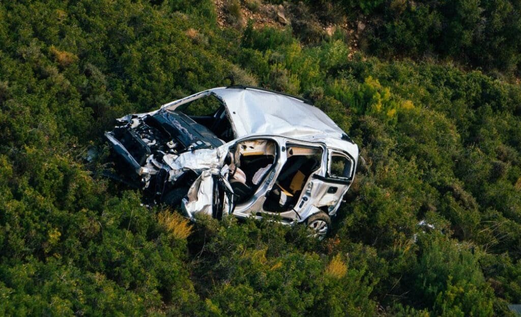 A damaged car sits abandoned in dense foliage
