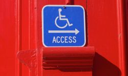 Disney's New Disability Access Policy ADA Implications and Foreseeable Harms