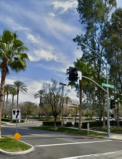 A traffic signal at an intersection lined with palm trees, indicating a left turn. The scene suggests a sunny, urban environment.